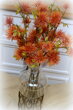 Kvet Xanthium oranžový (F-258-O)