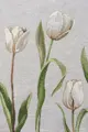 Obliečka na vankúš s potlačou/tulipán