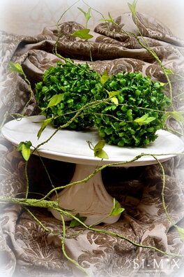 Podnos (New Vilage)