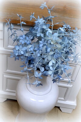 Kvet dekoratívny-modrý