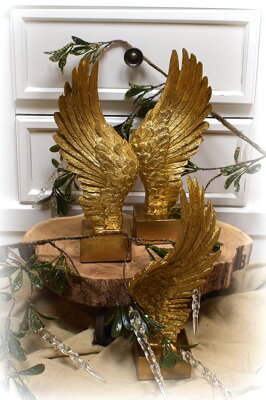 Anjelske krídlo zlaté 