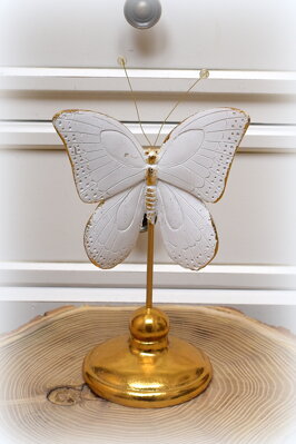 Krásna dekorácia motýľa