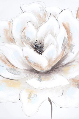 Obraz - bielo-krémový kvet 01
