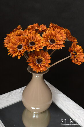 Kvet gerbera/oranžový