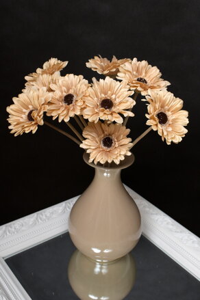Kvet gerbera hnedý