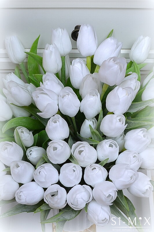 Tulipán biely