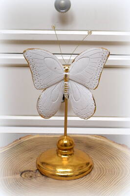 Krásna dekorácia motýľa